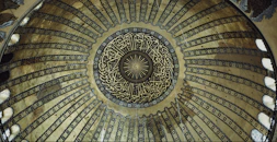 brown and white floral textile