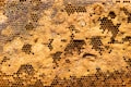 An intricately detailed honeycomb structure with hexagonal cells and a variety of dark and light golden tones. Some cells are filled with honey while others appear empty.