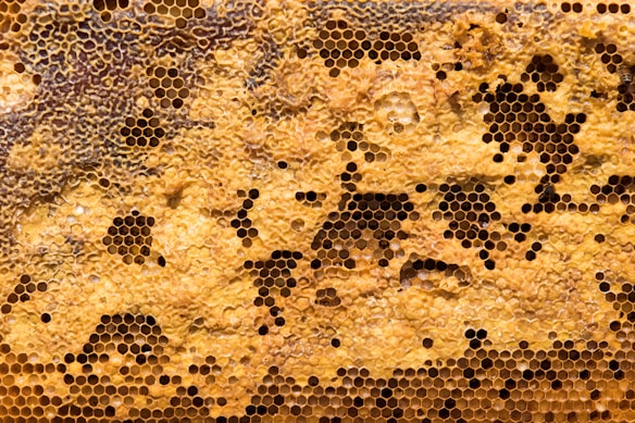 An intricately detailed honeycomb structure with hexagonal cells and a variety of dark and light golden tones. Some cells are filled with honey while others appear empty.