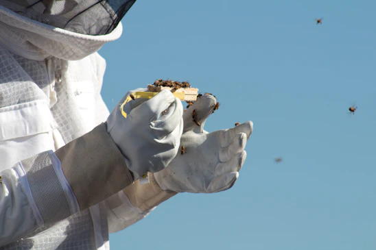 Close-up of a beekeeper wearing Avanzia Attire's protective gloves and suit, set against a backdrop of buzzing hives.