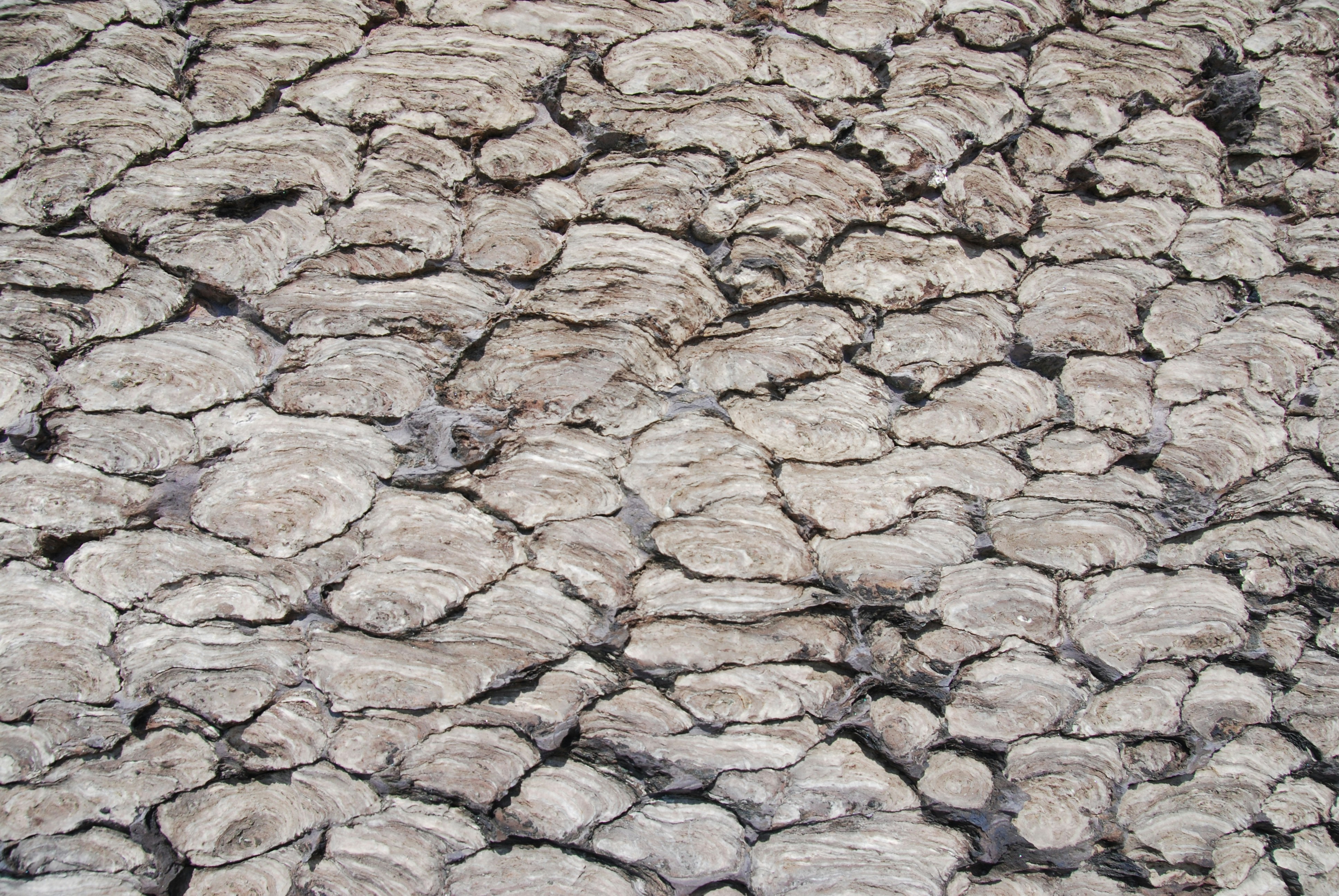 Photo by geodreamer0687