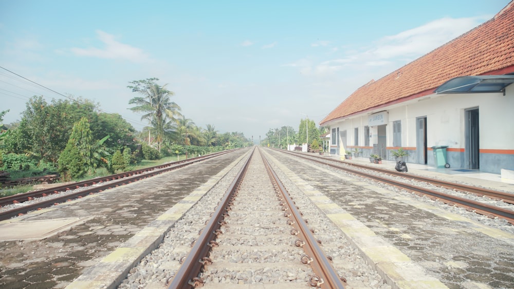 brown and white train rail near green trees under blue sky during daytime