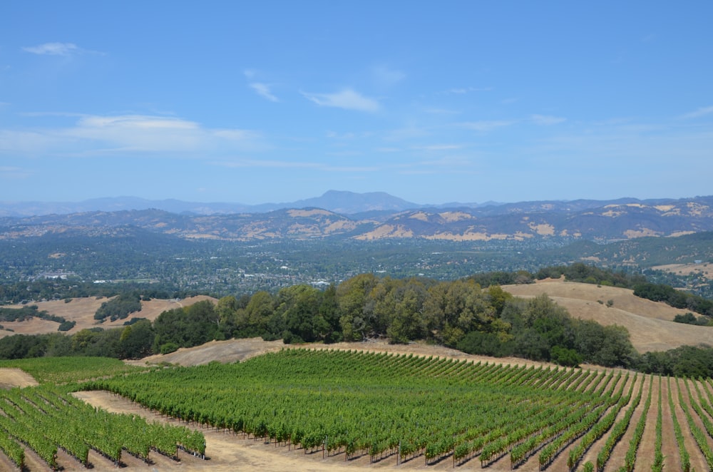 green grass field and mountains during daytime