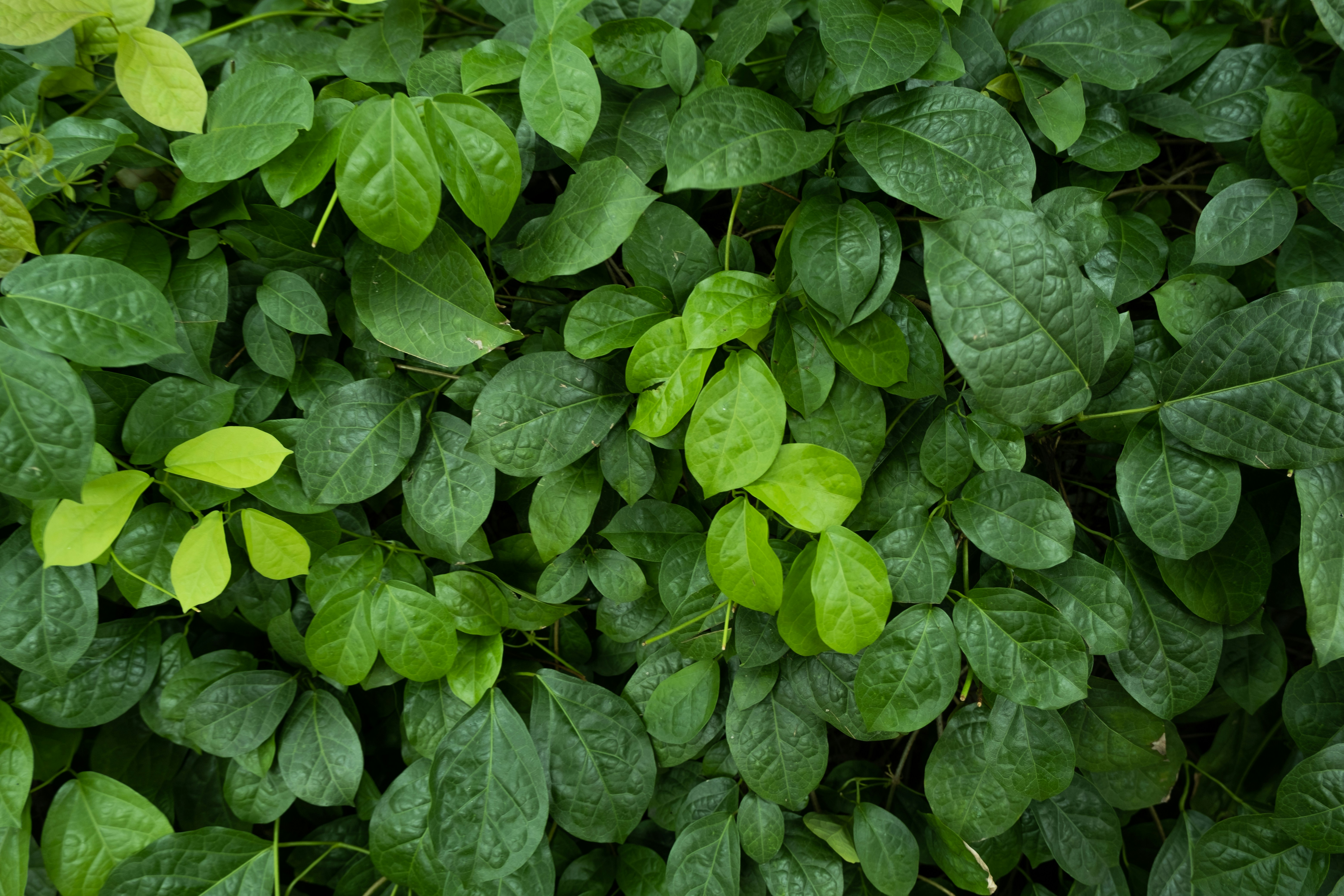 Photo by ryutarouozumi