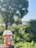 A customer enjoying a care goods llc water cup at a park.