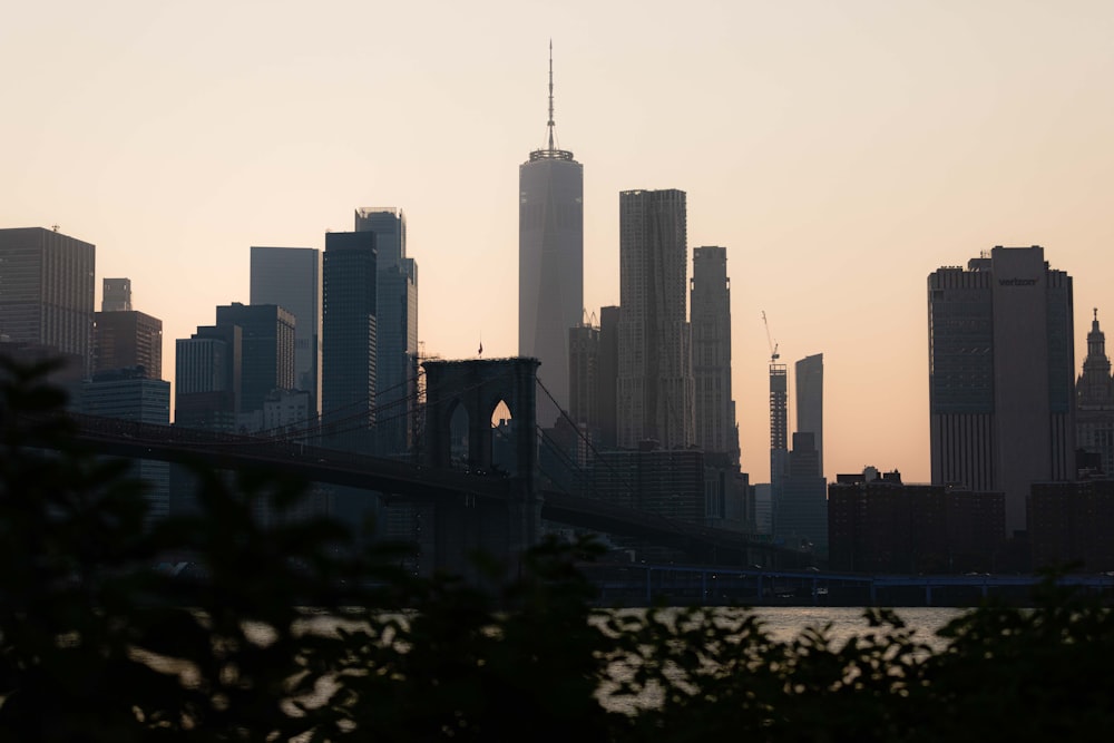 city skyline under white sky during daytime