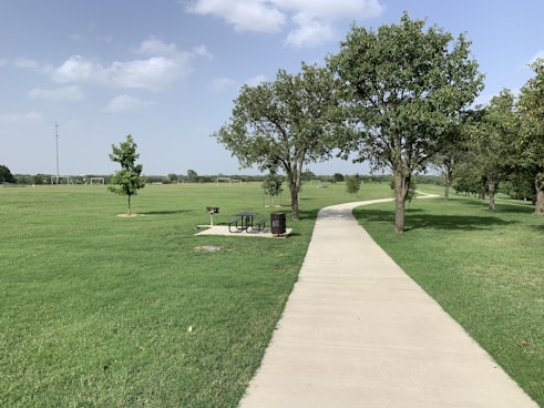 green grass field with trees and bench