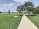 green grass field with trees and bench