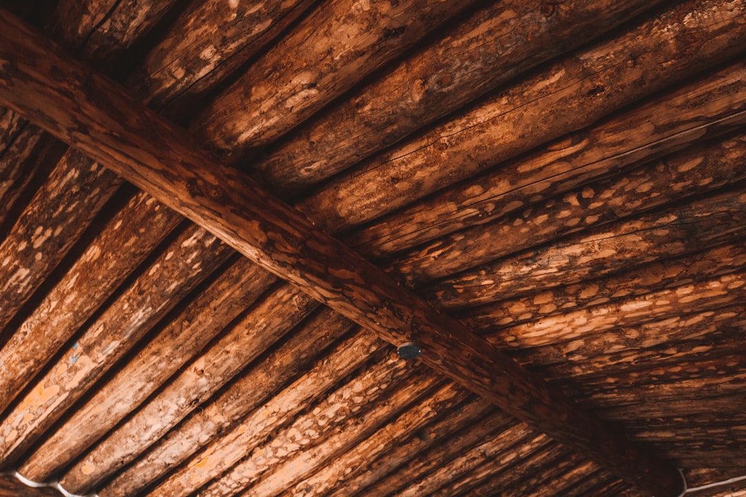 brown wooden ceiling with brown wooden ceiling