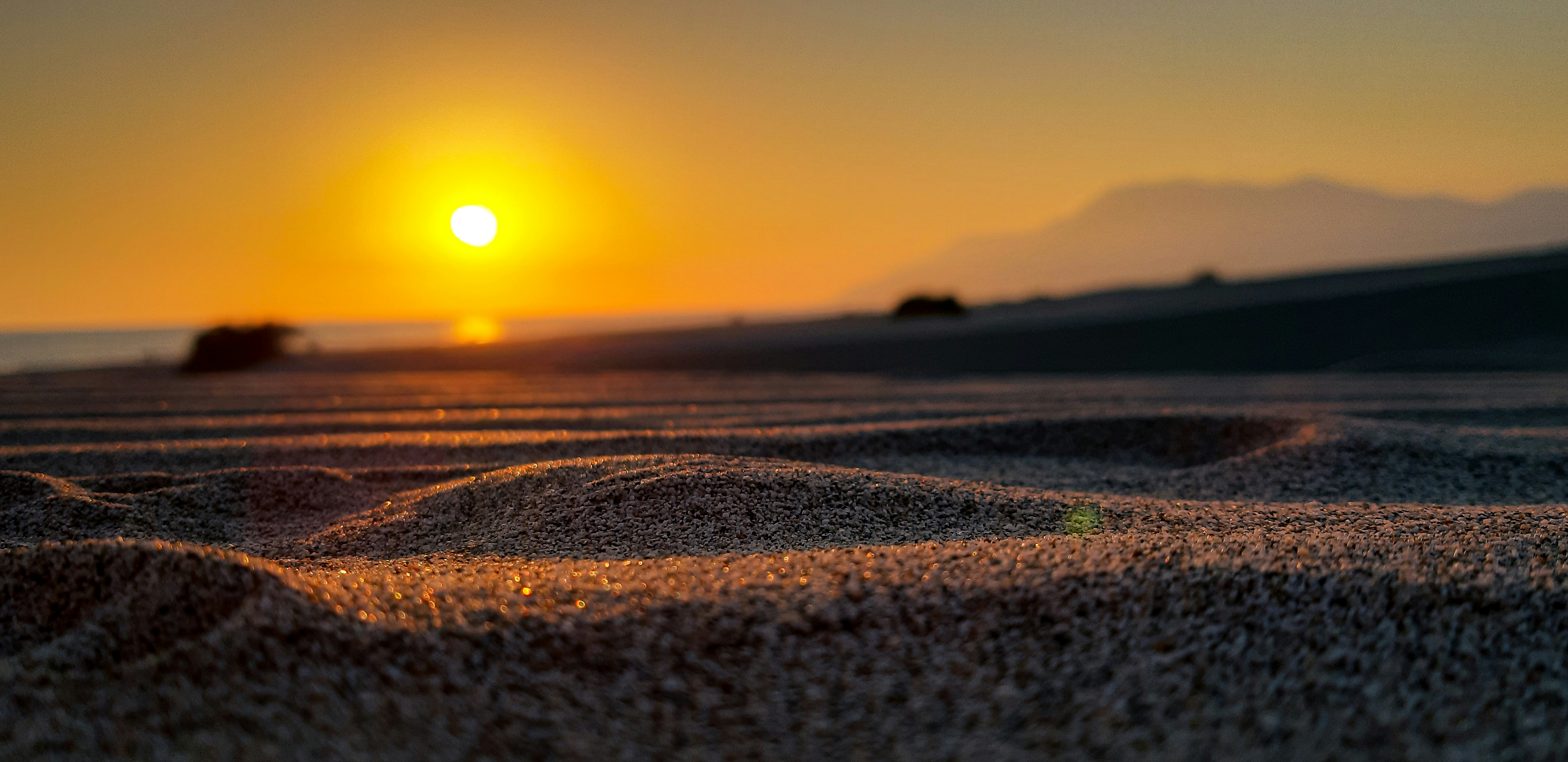 green grass field during sunset