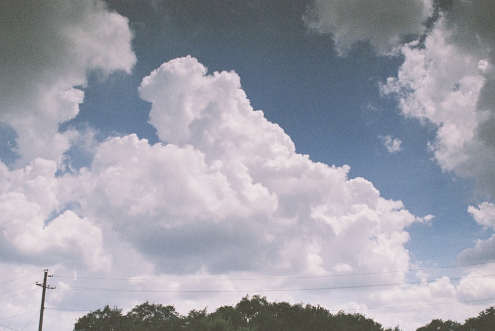 green trees under white clouds and blue sky during daytime