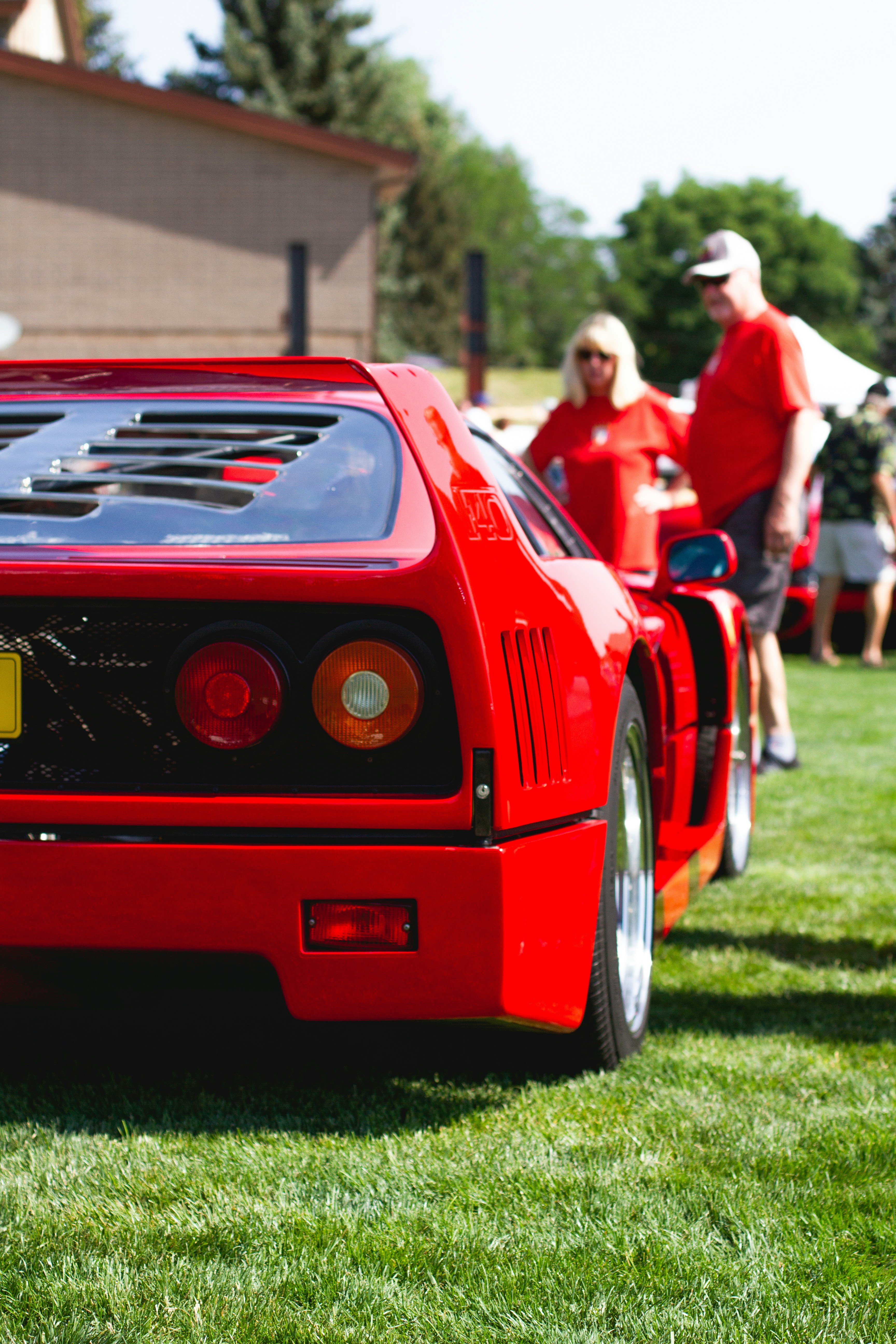 red ferrari 458 italia on green grass field