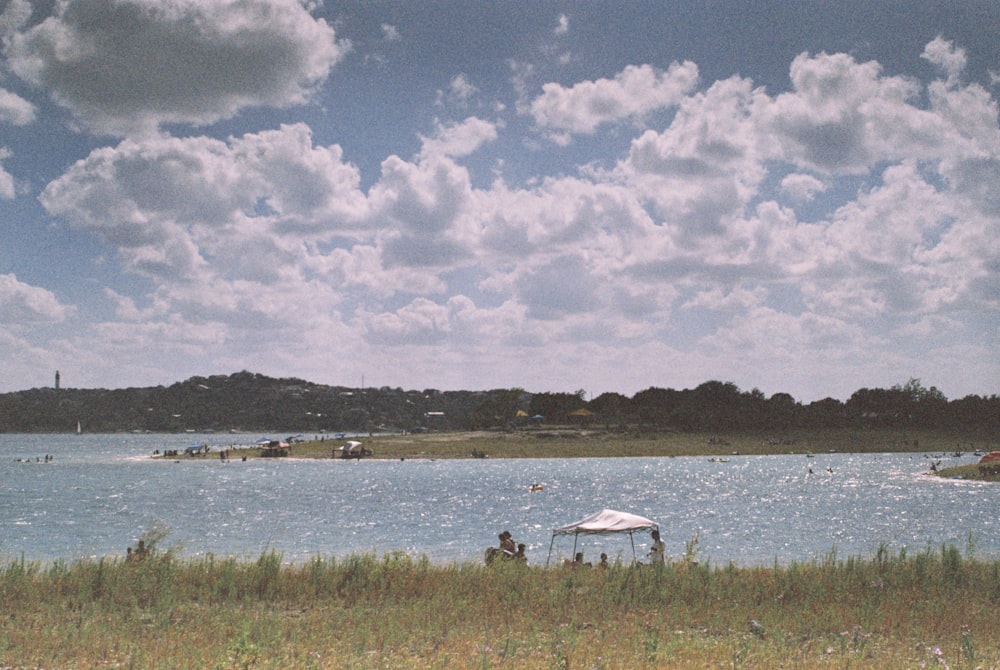 white and black horse on green grass field near body of water under white clouds and