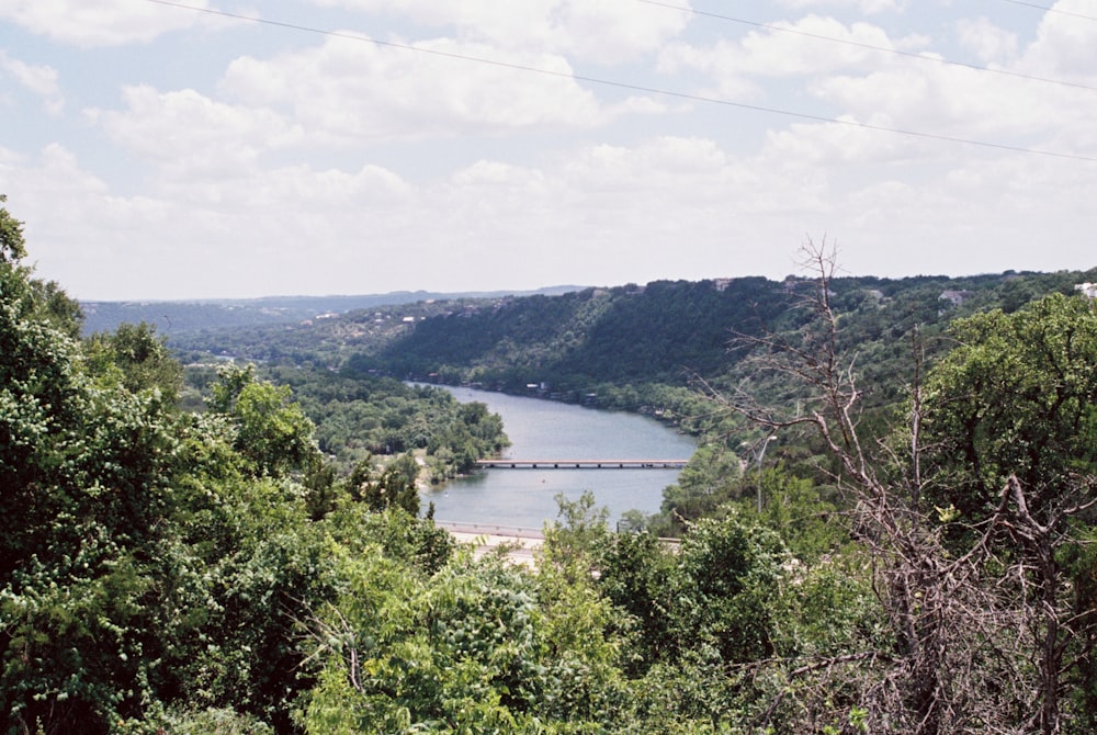 green trees near body of water during daytime