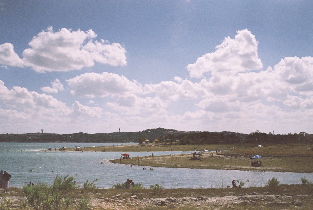 people on beach during daytime