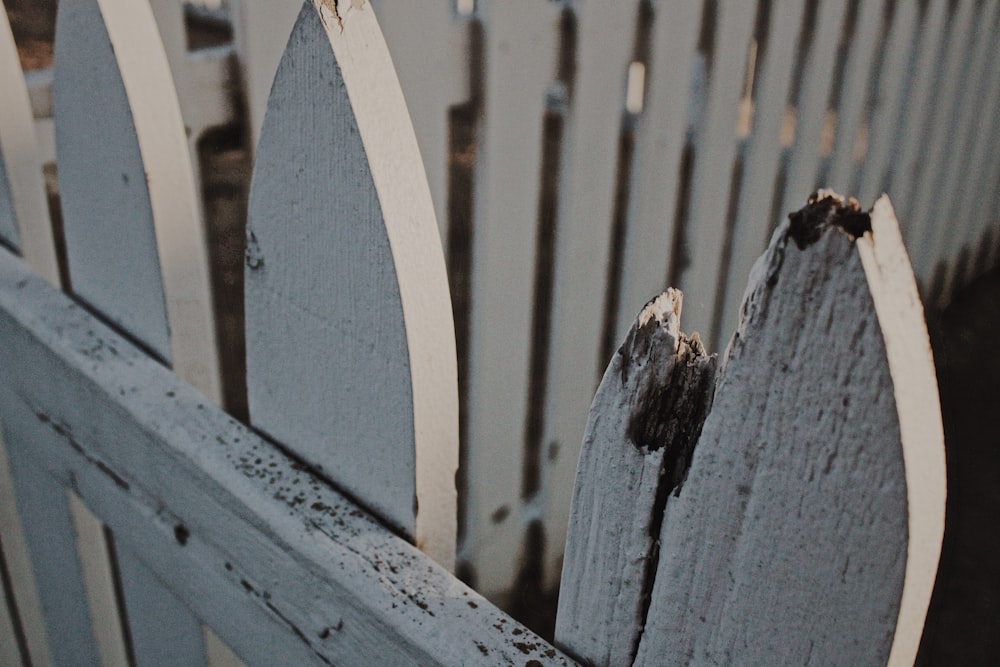 white wooden fence during daytime
