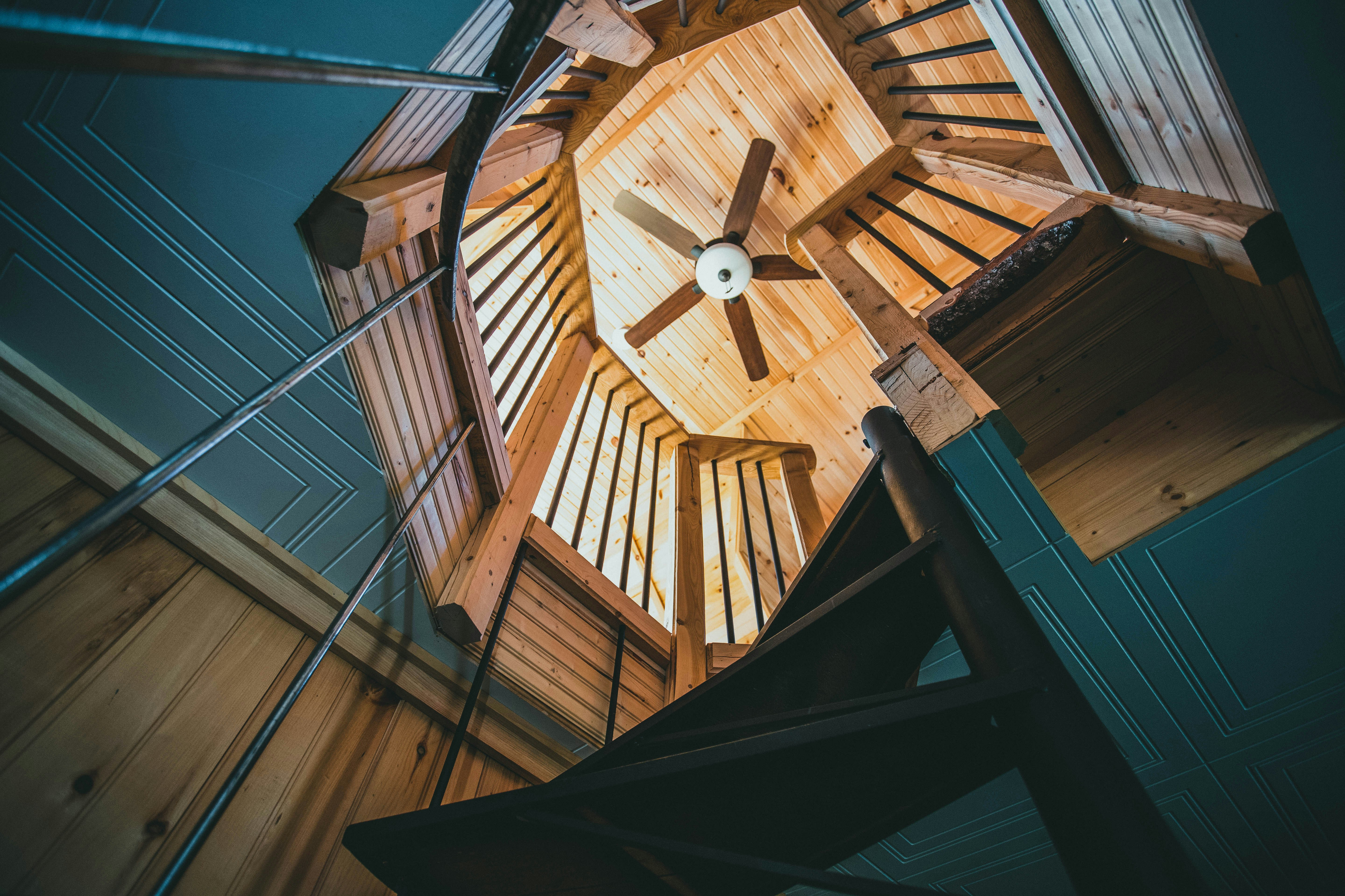 Photo by theshuttervision