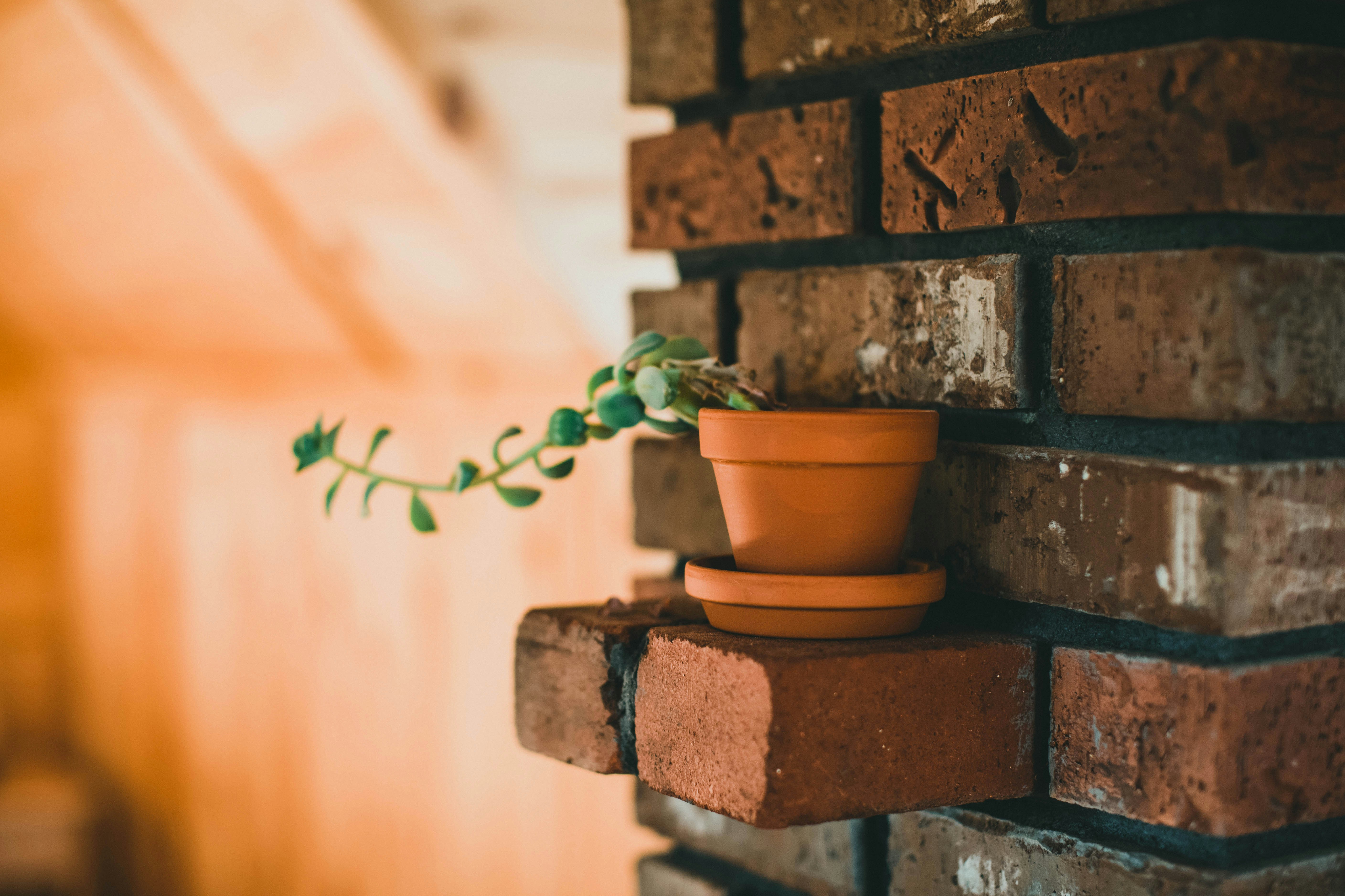 Photo by theshuttervision