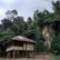 A wooden hut with a metal roof stands elevated on stilts in a lush, green forest. Dense vegetation surrounds the structure, with tall trees and a large rock formation in the background, creating a secluded and natural environment.