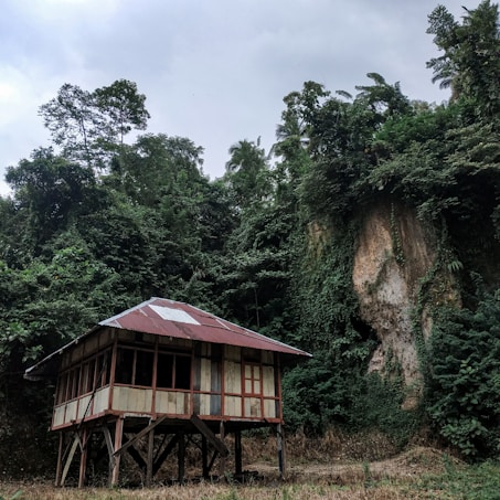 A wooden hut with a metal roof stands elevated on stilts in a lush, green forest. Dense vegetation surrounds the structure, with tall trees and a large rock formation in the background, creating a secluded and natural environment.