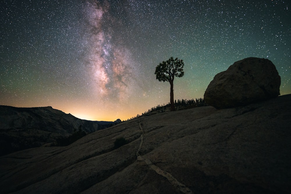 silhouette of trees on hill under starry night