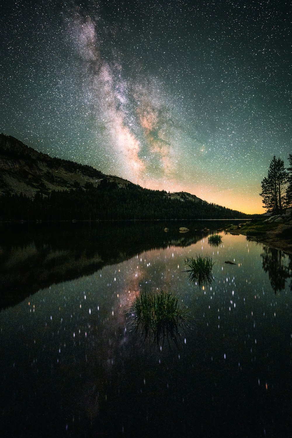 árboles verdes cerca del lago bajo el cielo azul con estrellas durante la noche
