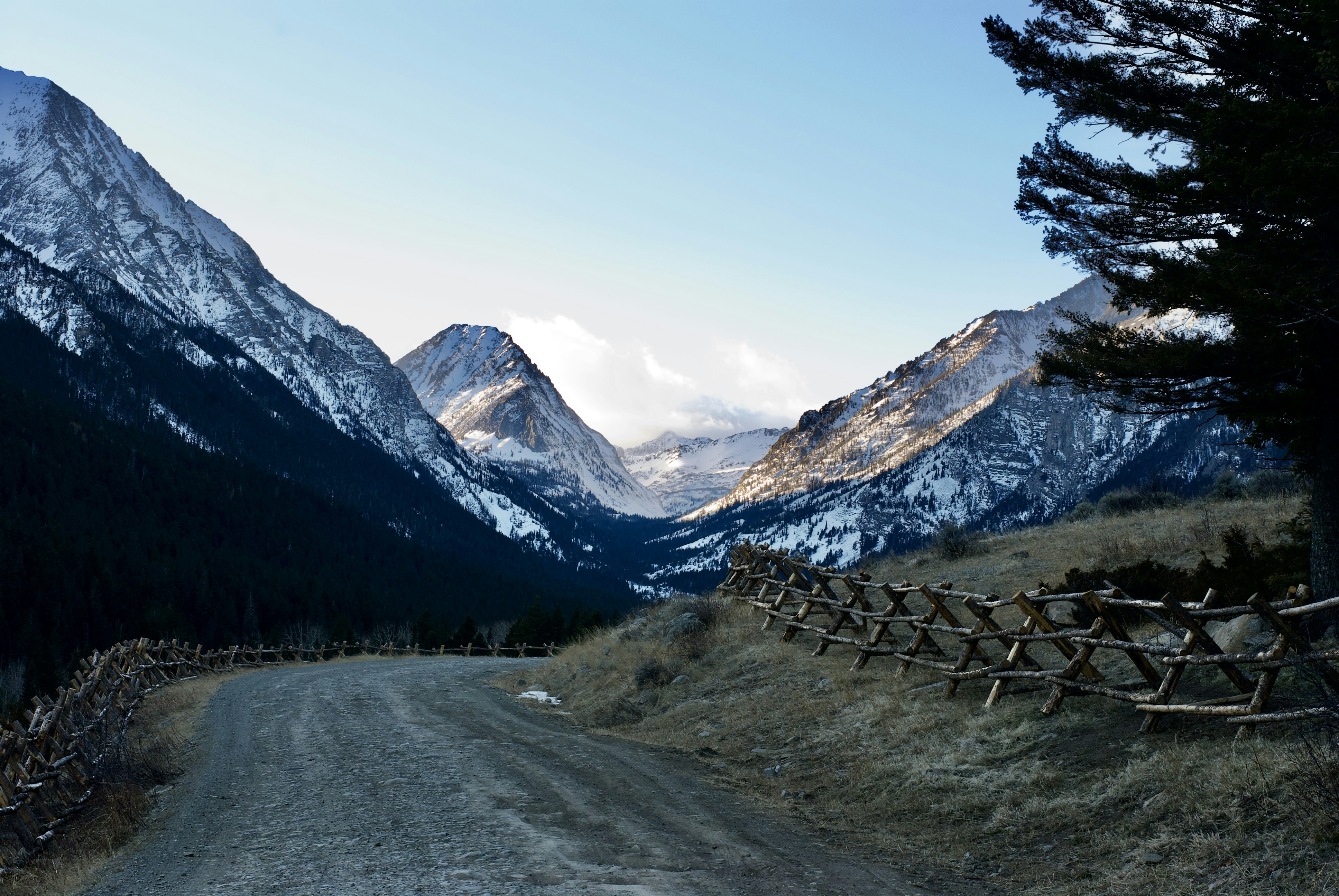 green trees near mountain under blue sky during daytime