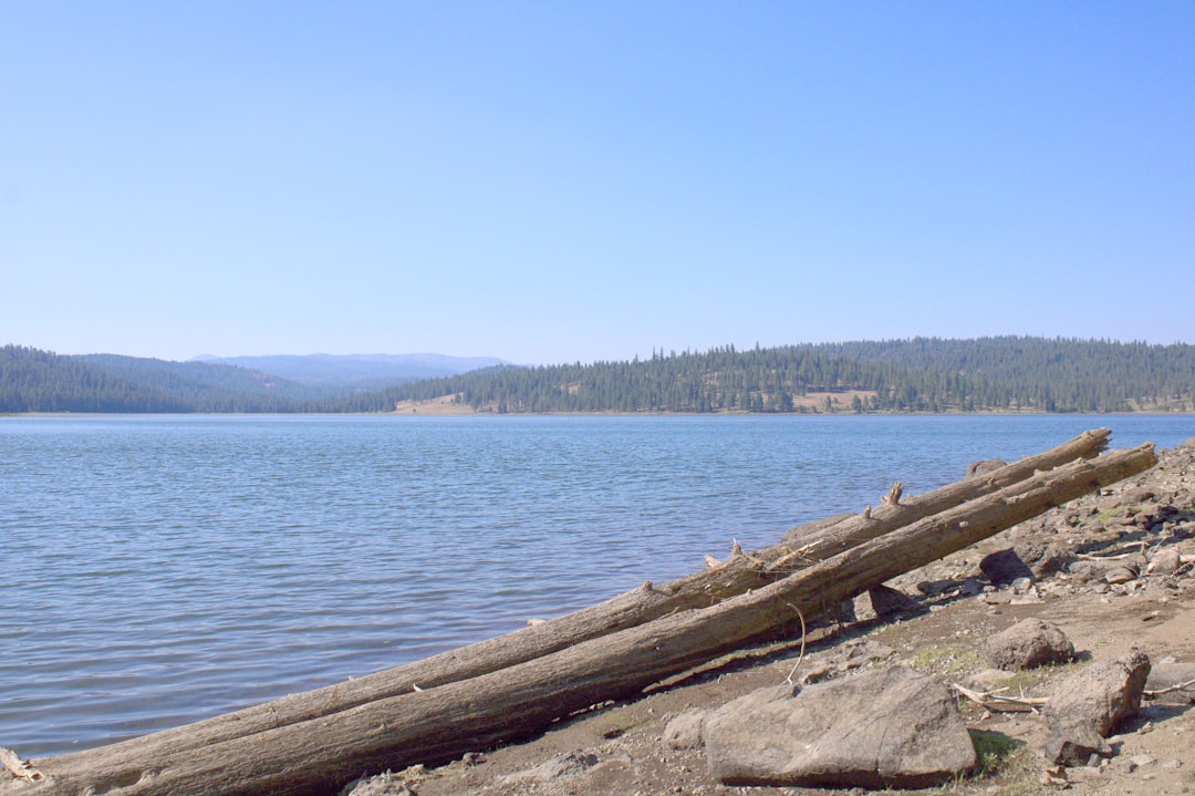 Idaho Congressman Looks To Spend  Billion To Remove Dams To Save Salmon Population