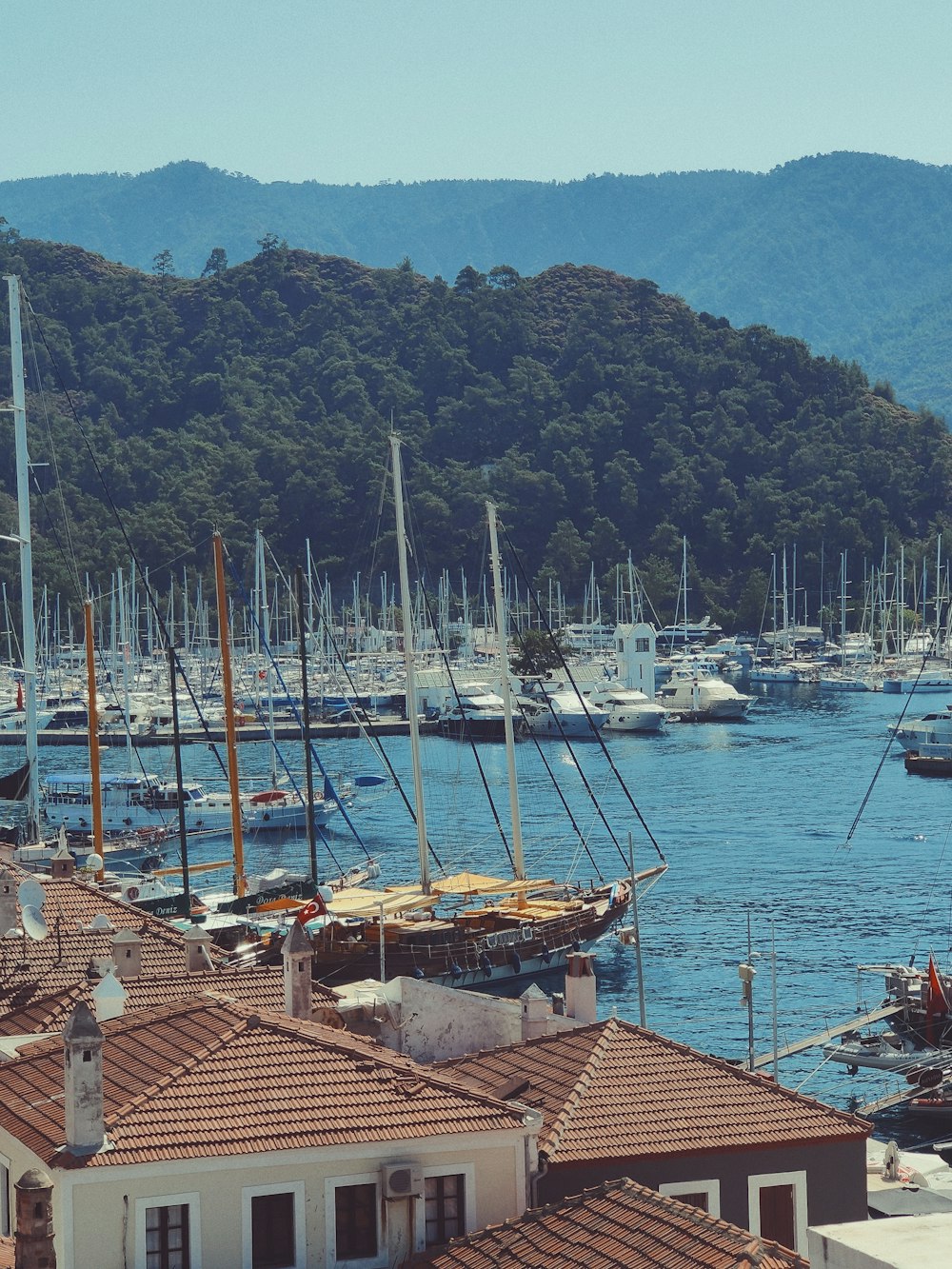 white and brown boat on dock during daytime