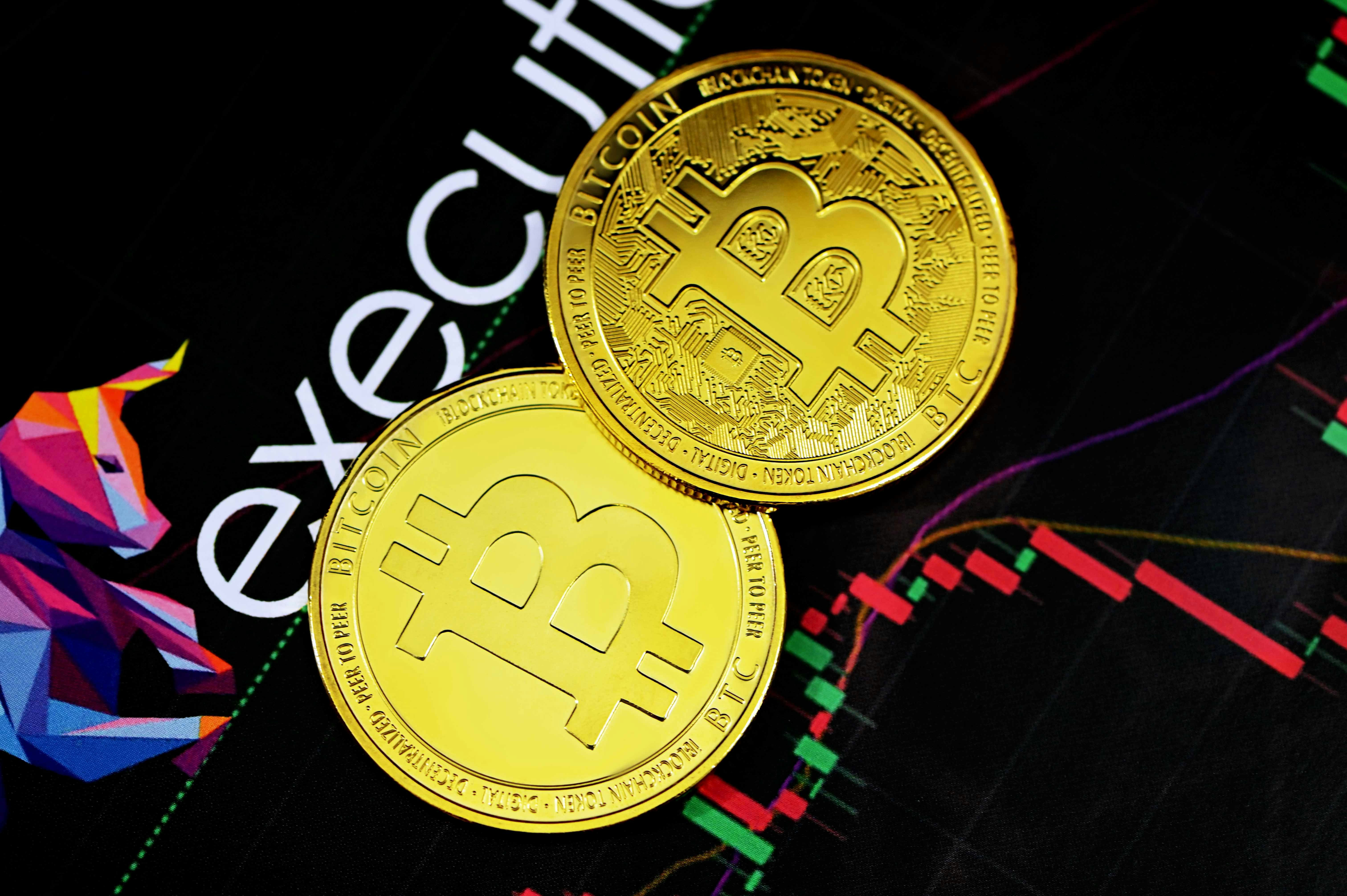 Bitcoin investor plans Caribbean community — with its own court system