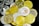 A pile of various cryptocurrency coins is scattered on a surface. The coins display different designs and logos, with a mix of gold and silver colors. Notable graphics include a Shiba Inu image and geometric shapes, representing popular cryptocurrencies.
