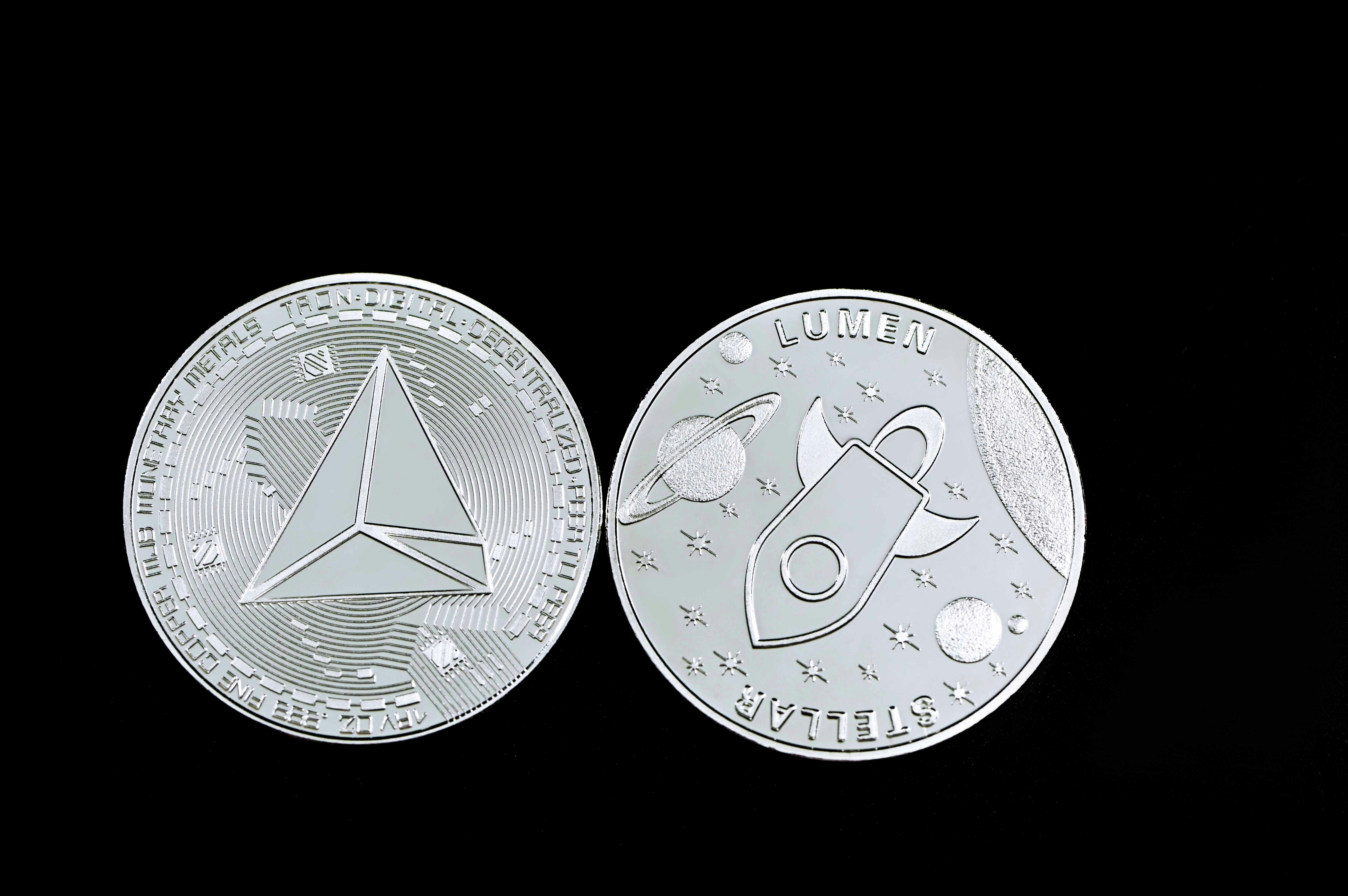 white and black cat and cat print round plate