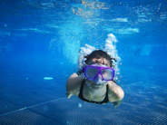 woman in white and black bikini swimming in the pool