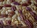 A close-up view of a baked dessert featuring a combination of pecans, walnuts, and almonds embedded in a golden-brown crust.