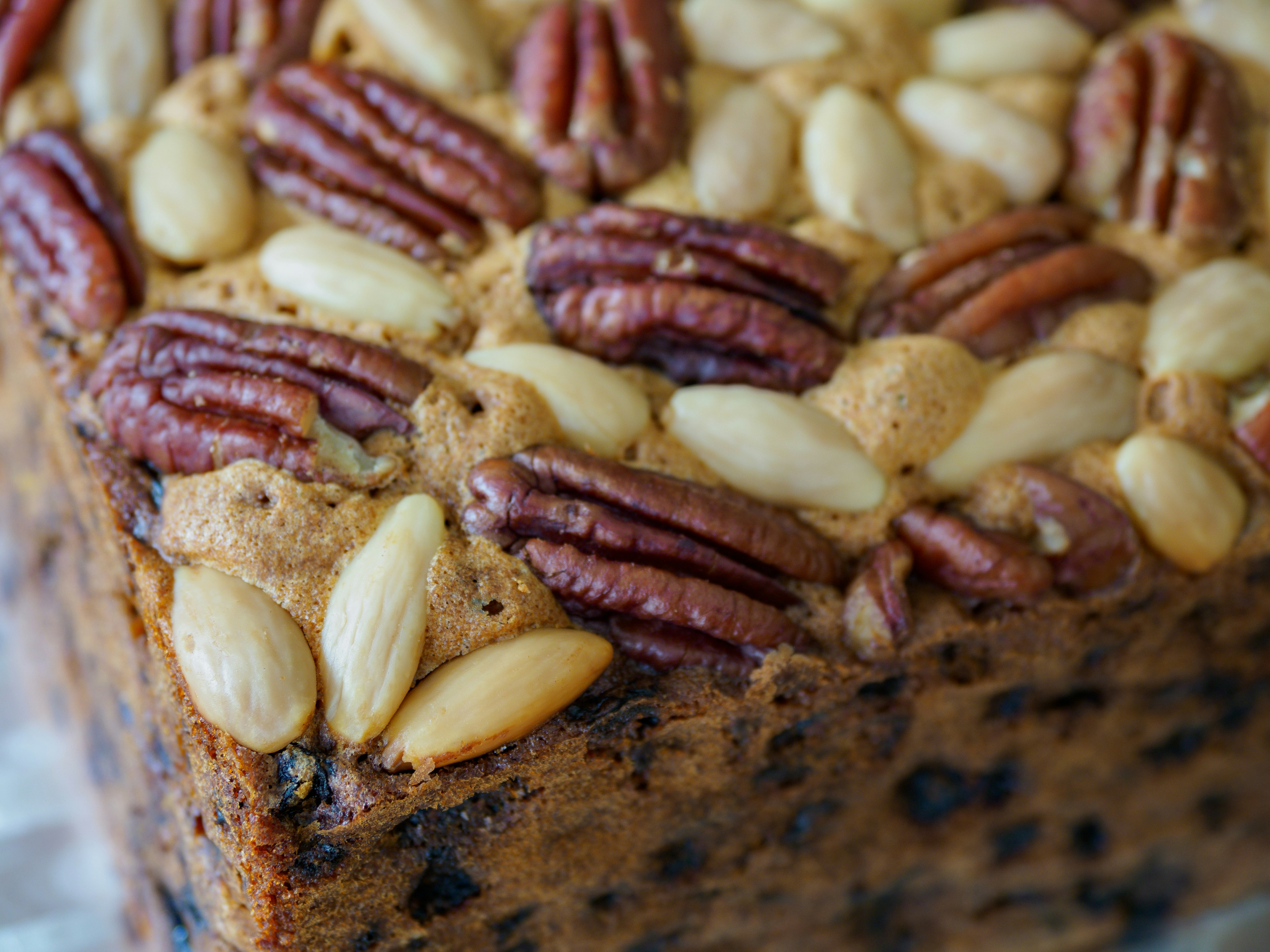 Photo by brett_jordan