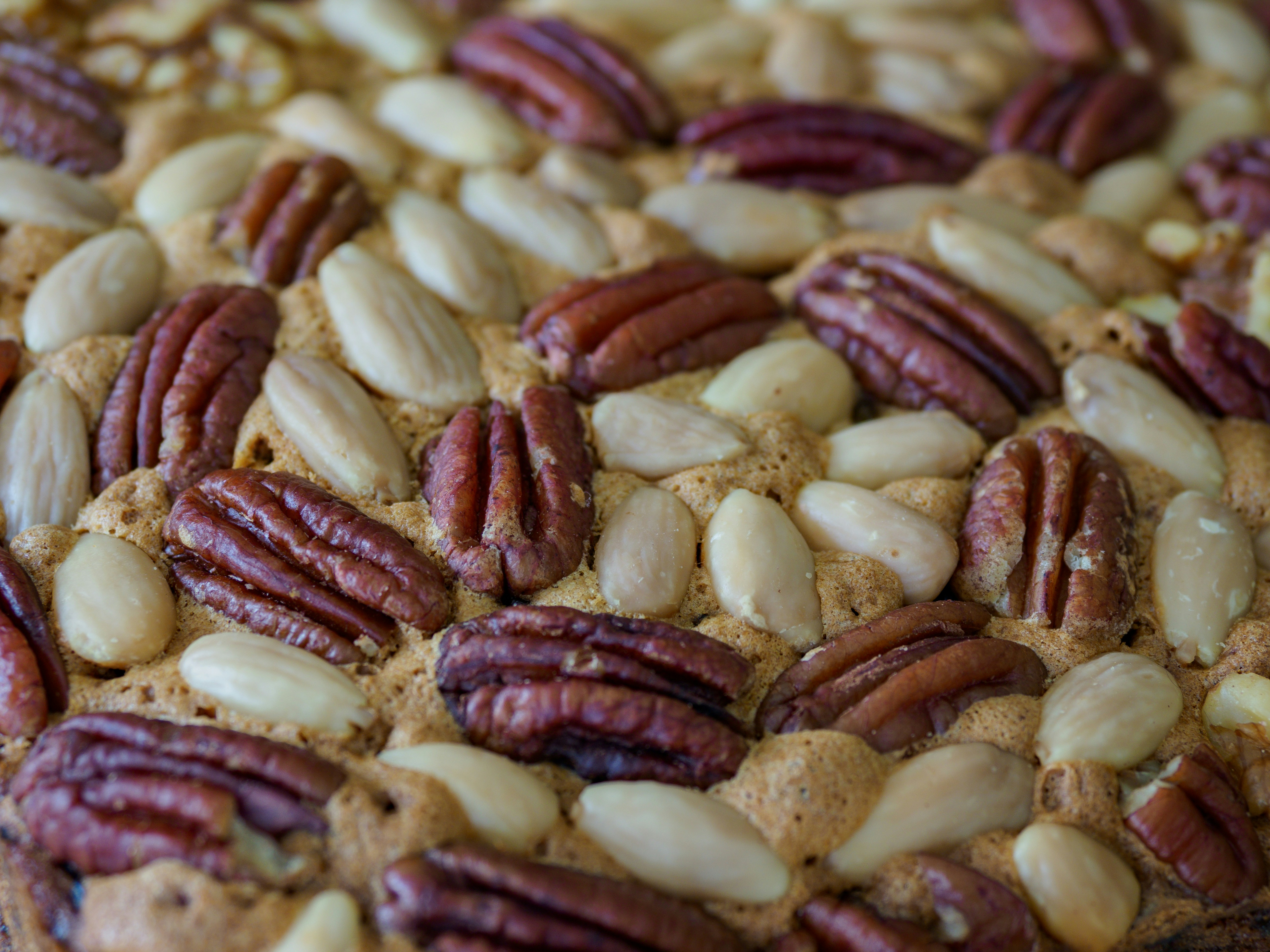 Photo by brett_jordan