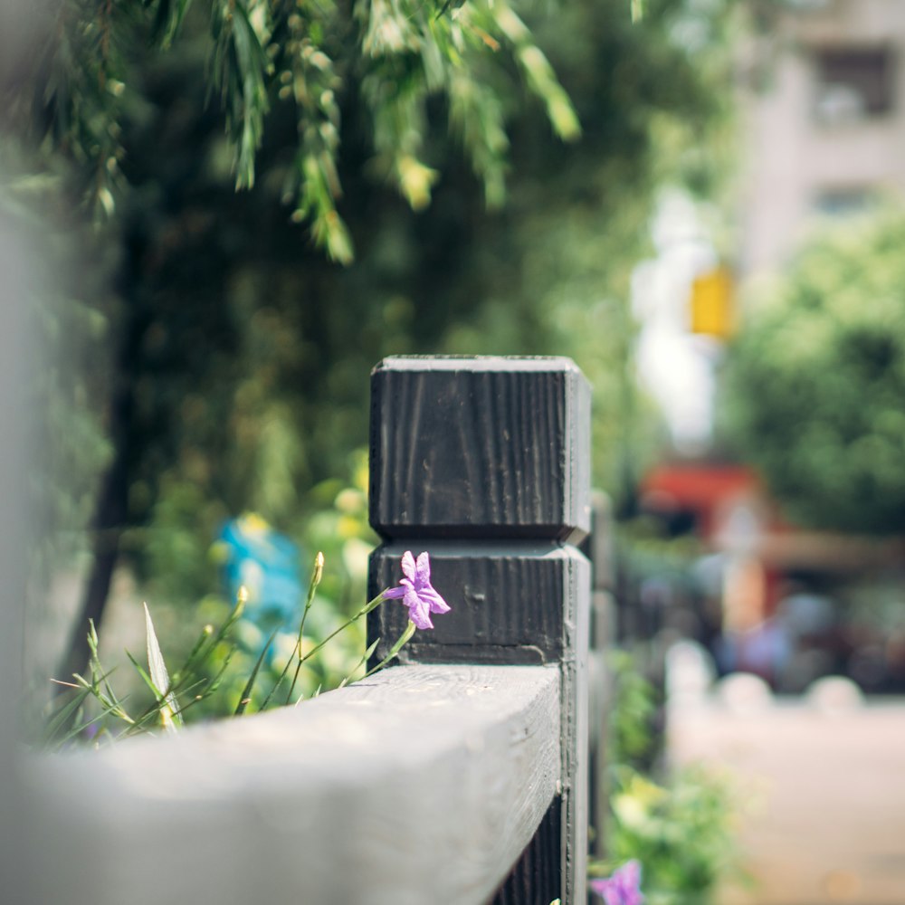 black wooden box with blue ribbon on gray concrete fence