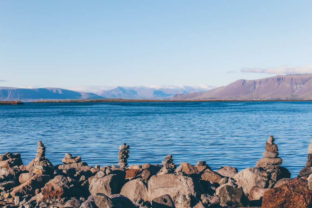 brown rocks near body of water during daytime