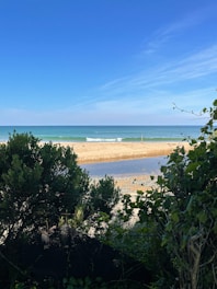 A serene beach view showcasing the beauty of Goa.