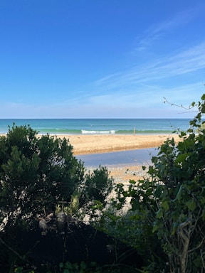 A serene beach view with gentle waves and a clear blue sky.