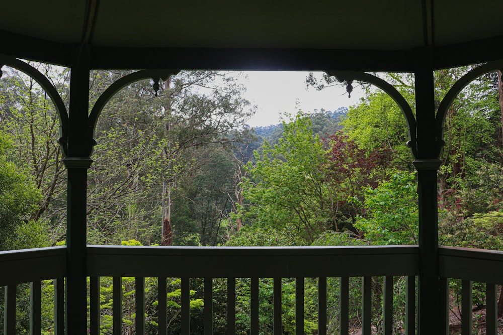 green trees and brown wooden fence