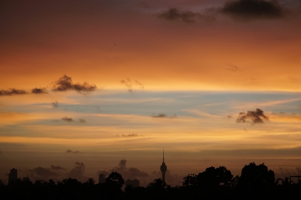 silhouette of trees under cloudy sky during sunset