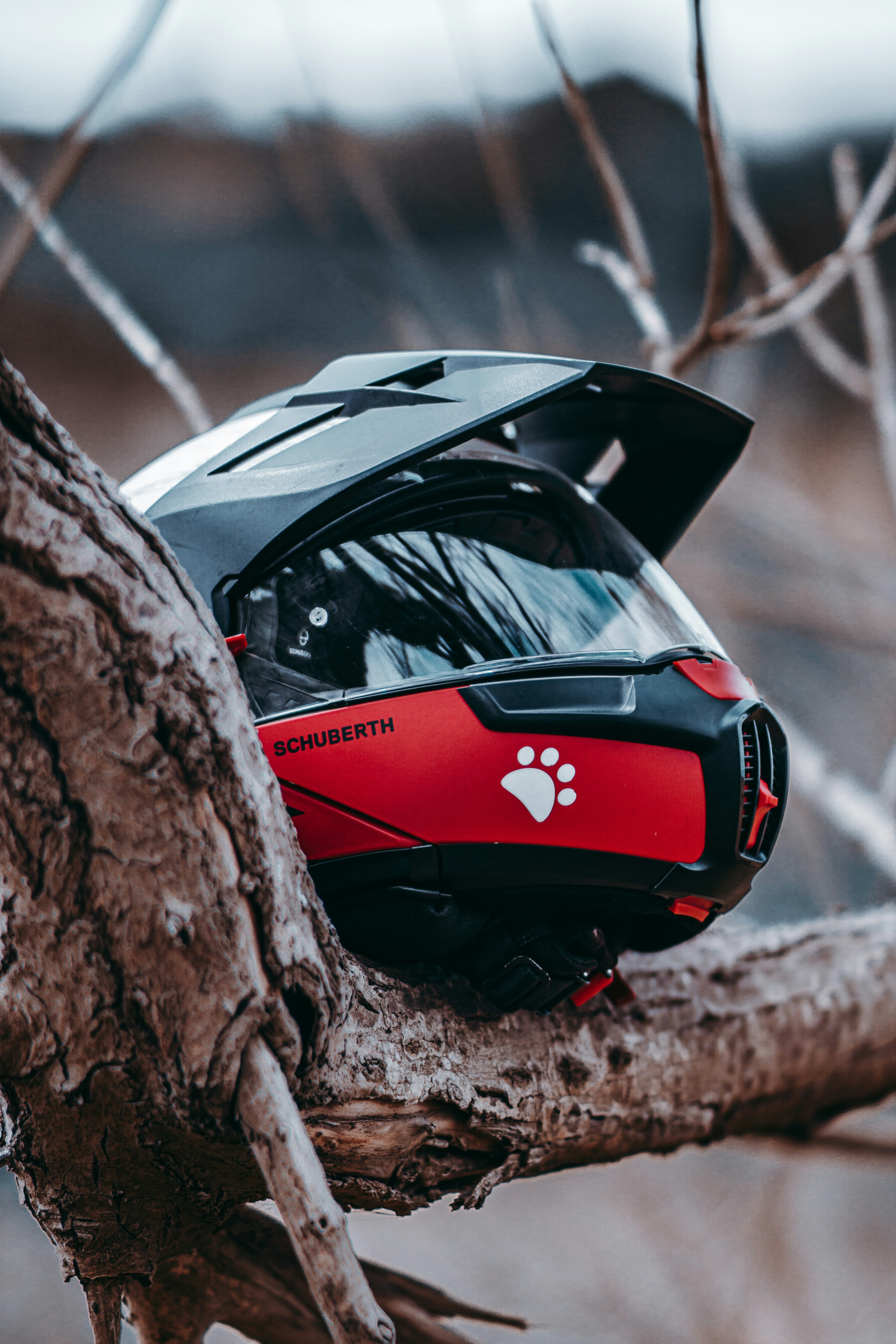 Coche rojo y negro aparcado junto a un árbol marrón