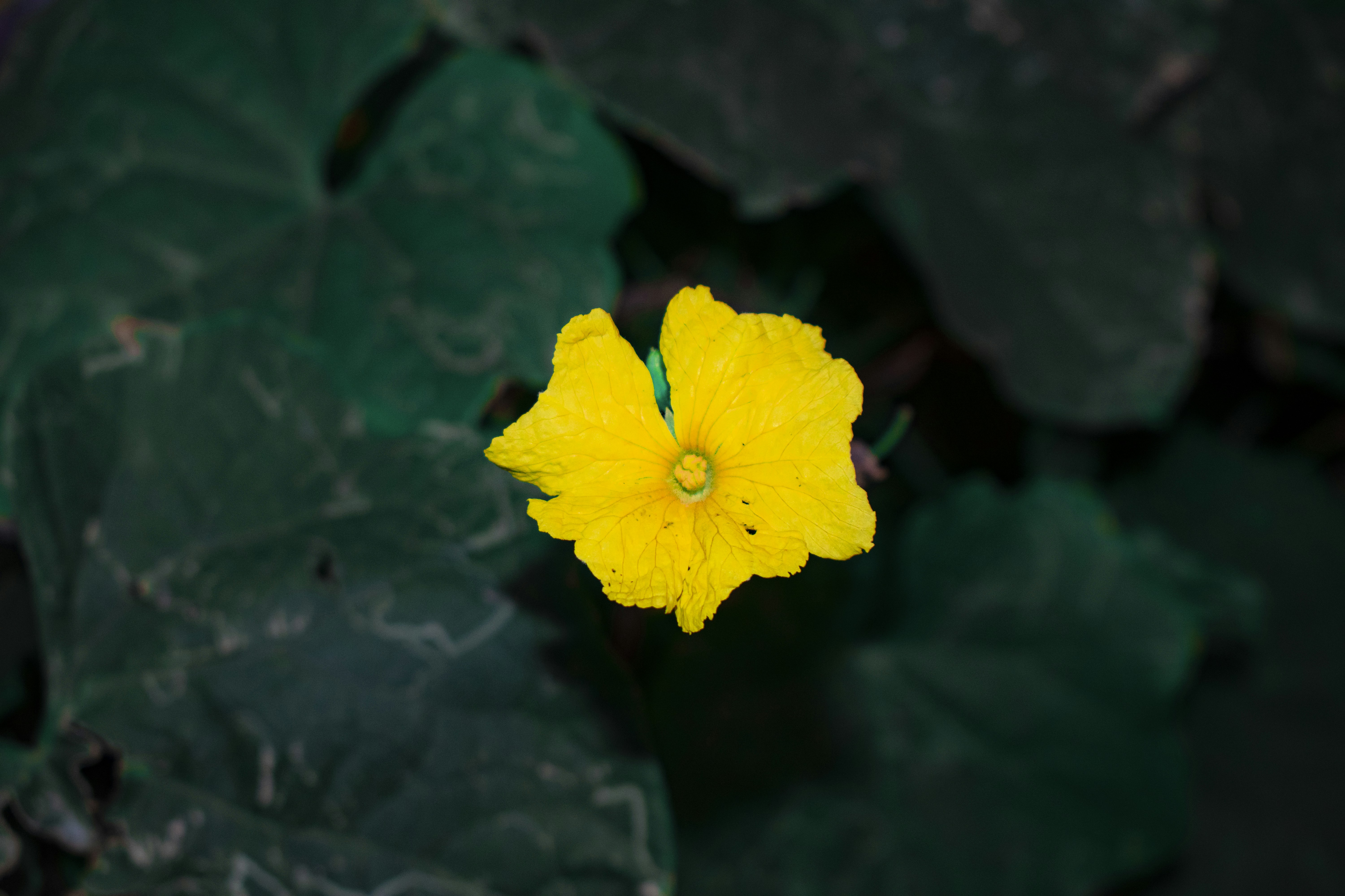 Photo by parthnatani147