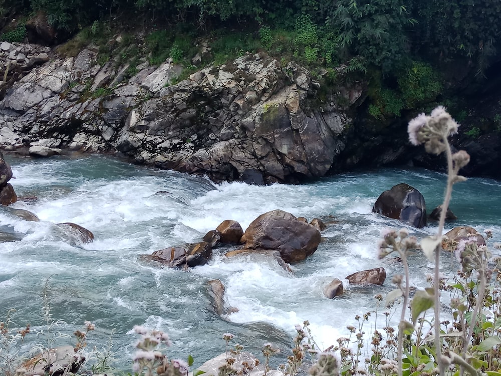 brown rocks on river during daytime