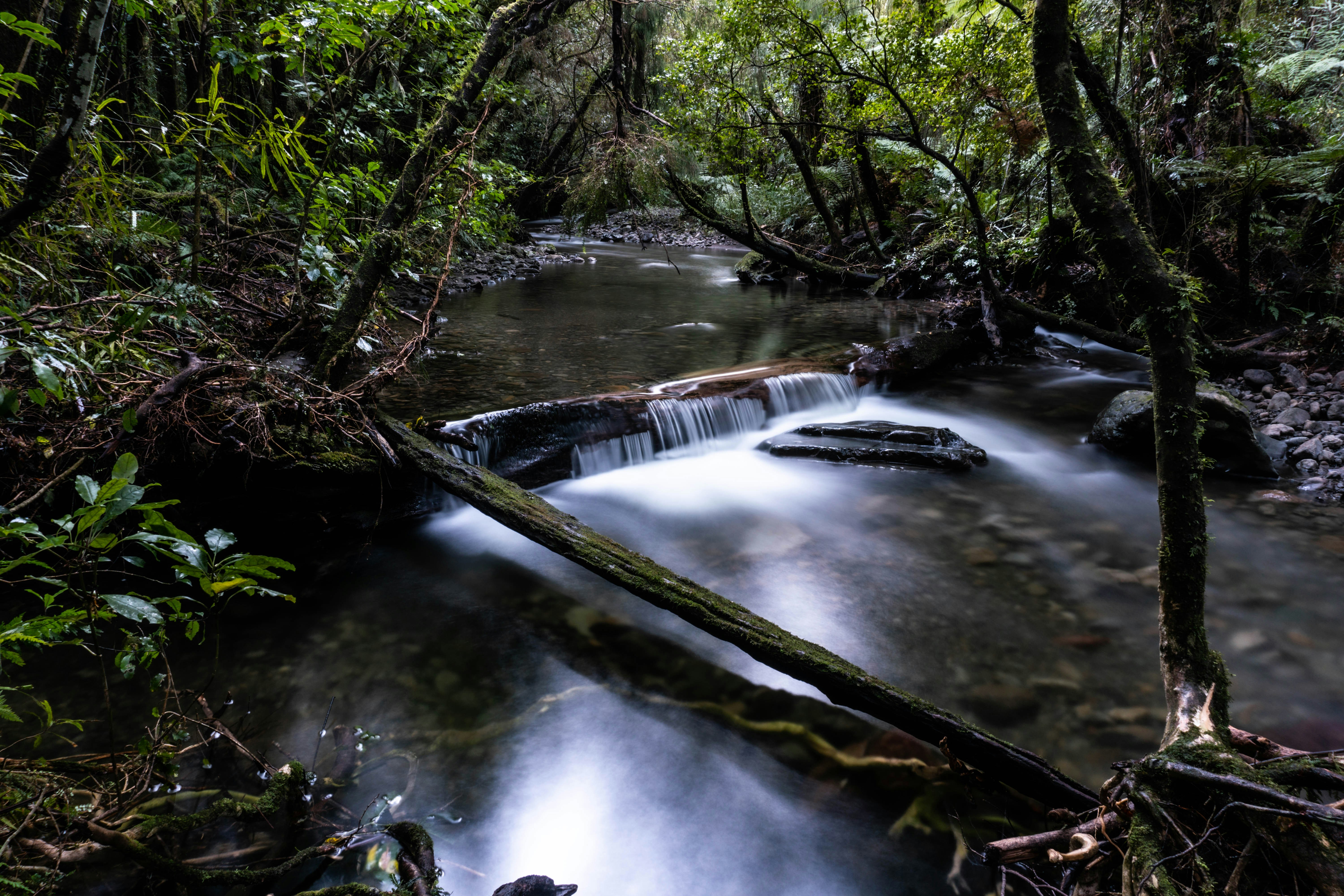 Photo by nature_photography_by_luca