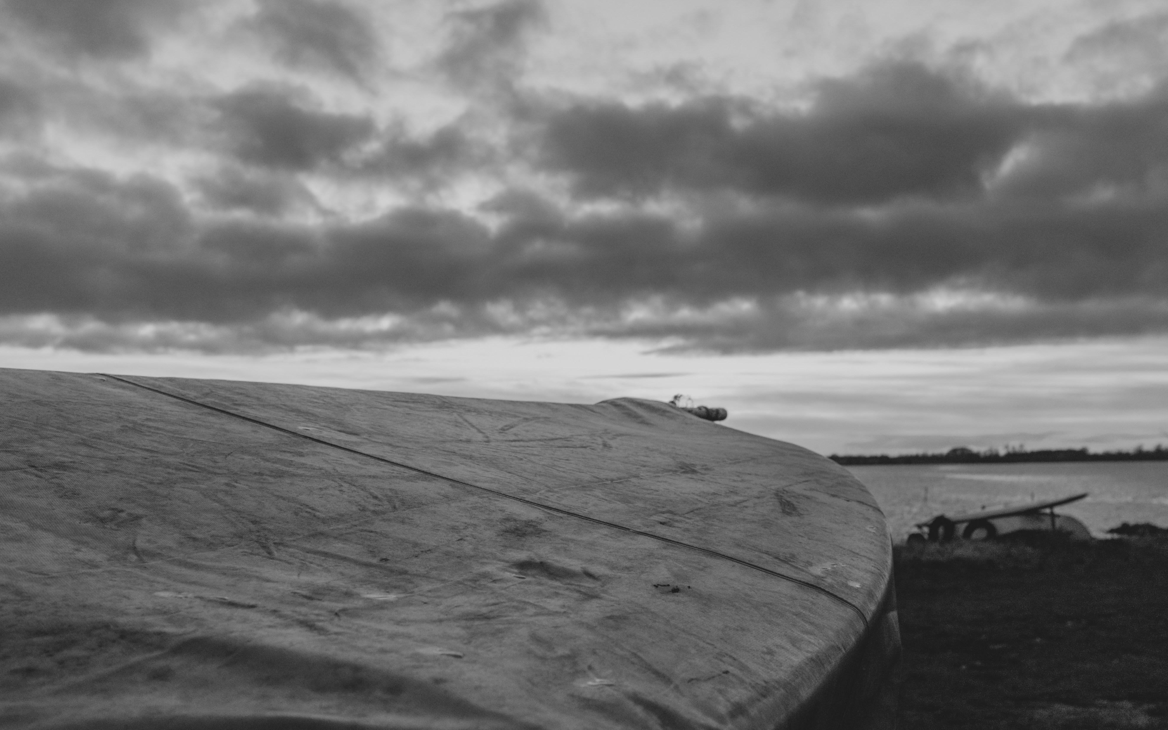 Photo by moisamihai092