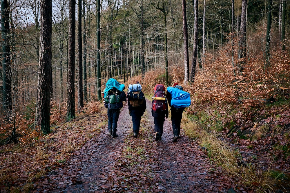 people walking on dirt road between trees during daytime