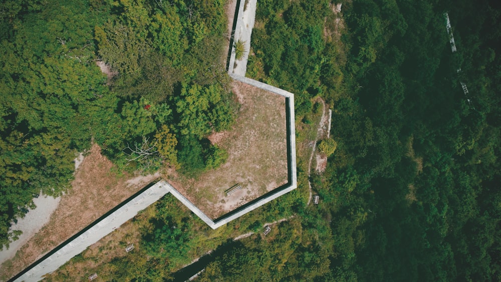 aerial view of green trees during daytime