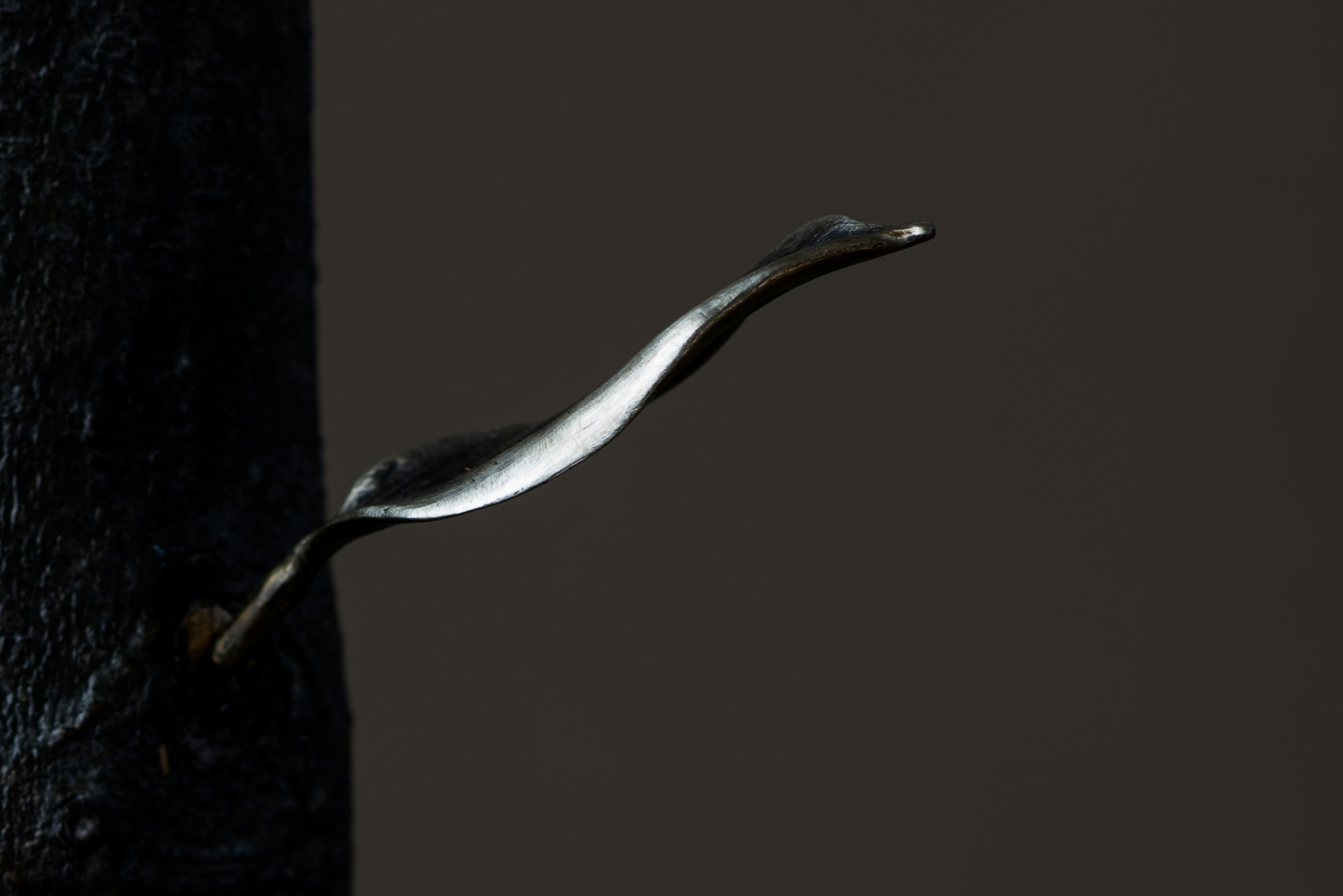 Photo by lauraadaiphoto